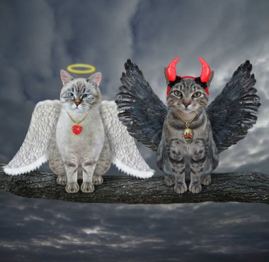 Kül kedisi bir melek ve gri kedi bir kütüğün üzerinde birlikte oturuyorlar. Gökyüzü bulutu arkaplanı.