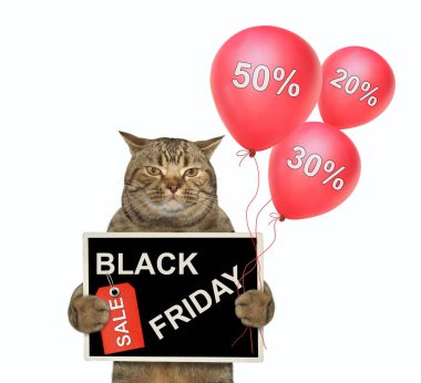 Bej renkli bir kedi elinde kırmızı balonlar ve 