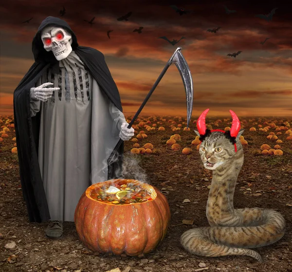 A beige cat snake in red devil horns and a grim reaper are near a pumpkin in the field for Halloween.