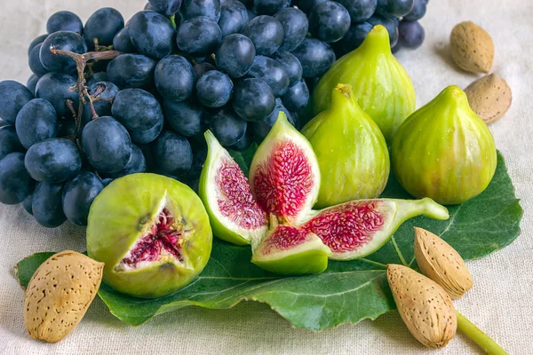 Bodegón de frutas frescas de colores. Ramo de uvas negras, higos verdes sobre un fondo claro . —  Fotos de Stock