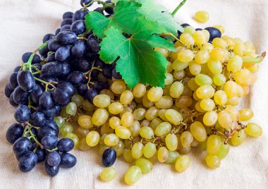 Natürmort - hafif kumaş üzerine parlak meyve. Vintage siyah ve Yeşil üzüm.