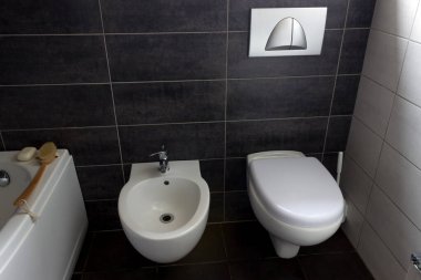 Modern duvara monte edilmiş beyaz klozet ve siyah bir banyo duvarının arkasında hijyenik duş. Dairenin içindeki banyonun bir parçası..