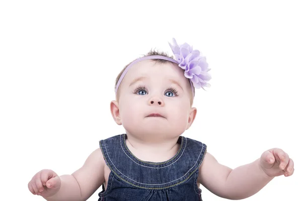 Cute baby with blue eyes on white background Stock Image