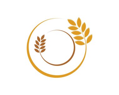 Yuvarlak buğdaylı mektup