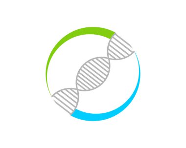 Daire şeklinde sarmal DNA.