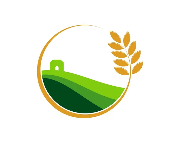 Фермерське Поле Окружністю Золота Пшениця — стоковий вектор