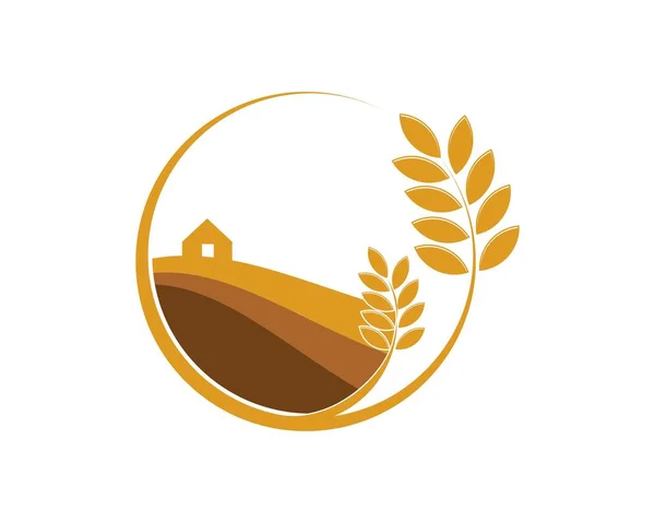 Кругова Пшениця Польовою Фермою Всередині — стоковий вектор