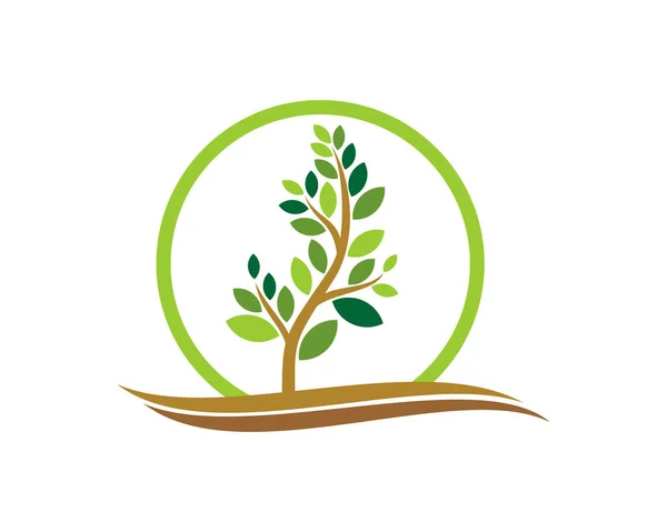Πράσινο Σχήμα Κύκλου Δέντρο Της Φύσης Στο Εσωτερικό — Διανυσματικό Αρχείο