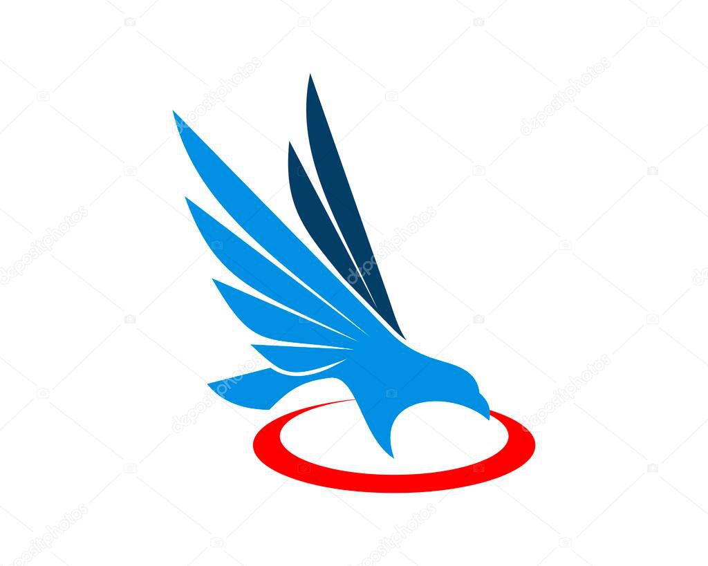 Flying eagle and swoosh
