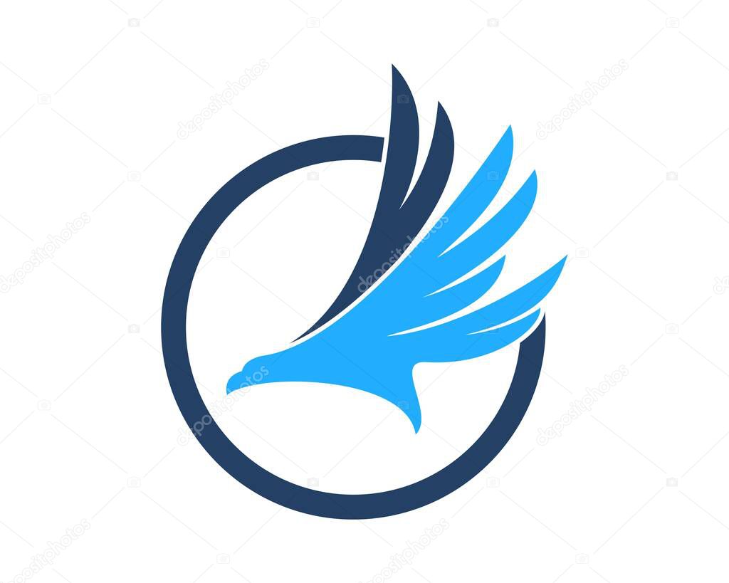 Circle shape with flying eagle inside