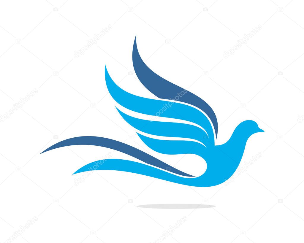 Dove bird abstract and love peace religion
