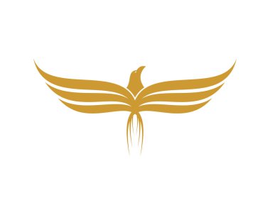 Kanat çizgili altın kartal