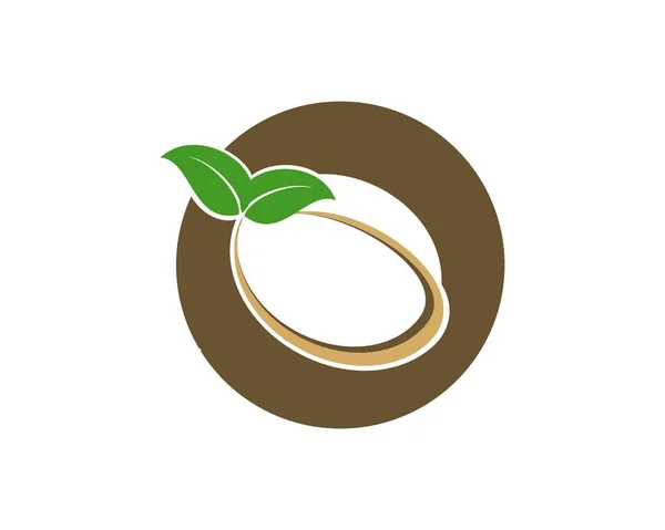 用咖啡豆和叶子做成圆形 — 图库矢量图片