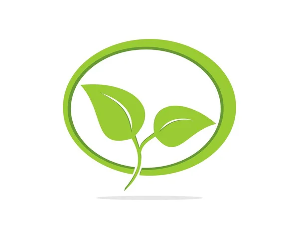 Oval Shape Nature Leaf — Stock Vector