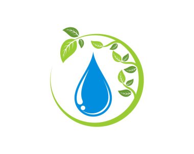 İçinde su damlası olan dairesel doğa yaprağı.