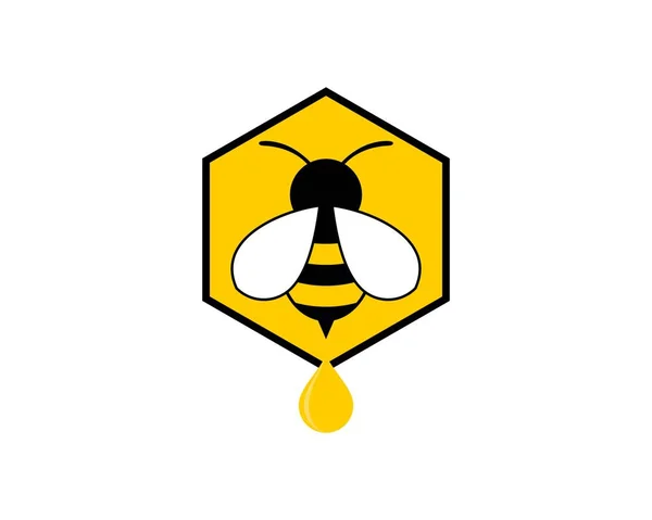 Hexagonal Shape Bee Honey Drop — Stock Vector