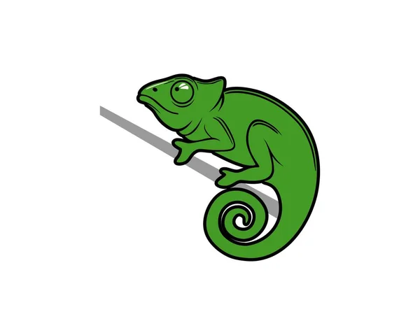 Jednoduchý Zelený Chameleon Větvi — Stockový vektor