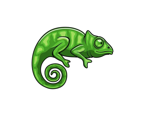 Krásný Zelený Chameleon Akci — Stockový vektor