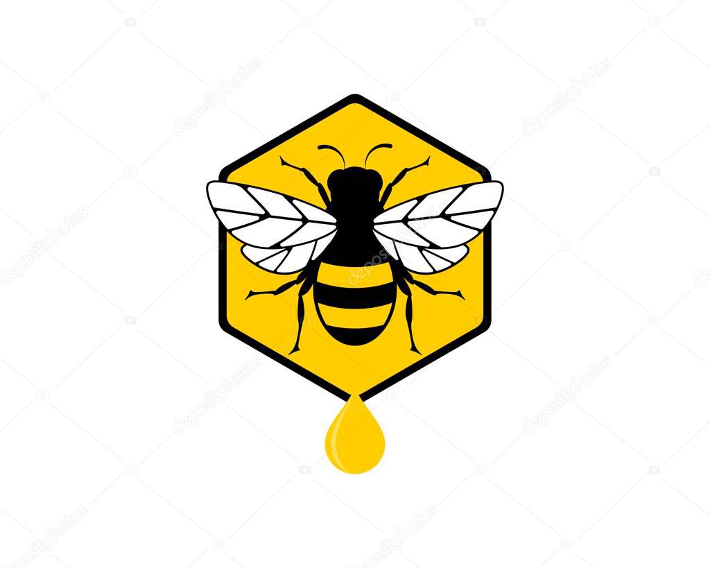 Hexagonal bee hive with bee and honey drop