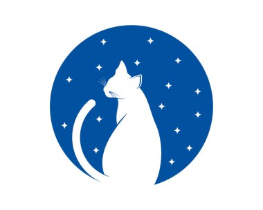 Kedi gece görüş alanında oturuyor.