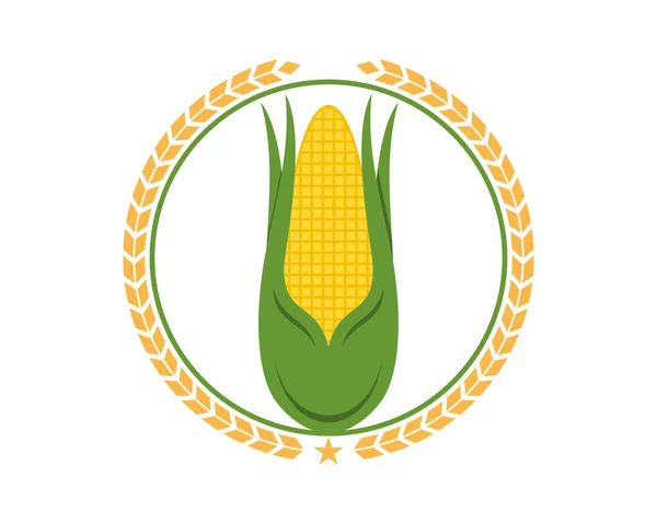 Hodowla Kukurydzy Wewnątrz Pszenicy Okrągłej — Wektor stockowy