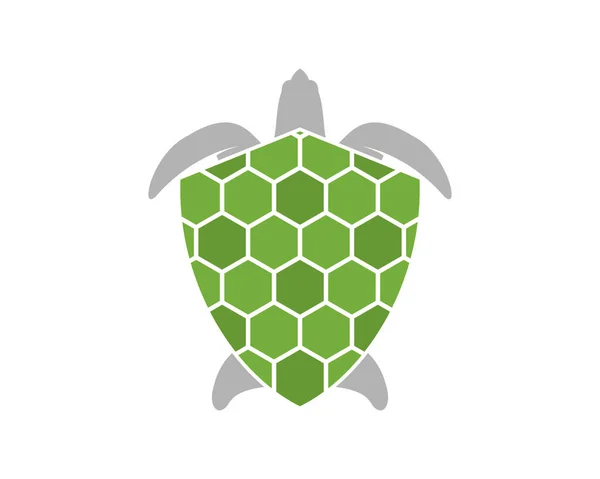 Želví Krunýř Ochranou — Stockový vektor