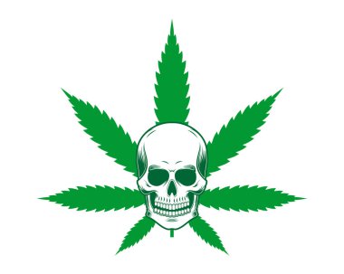 Kafatasının arkasında kenevir yaprağı var.