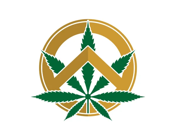 Feuille Cannabis Dans Bouclier Spartiate — Image vectorielle