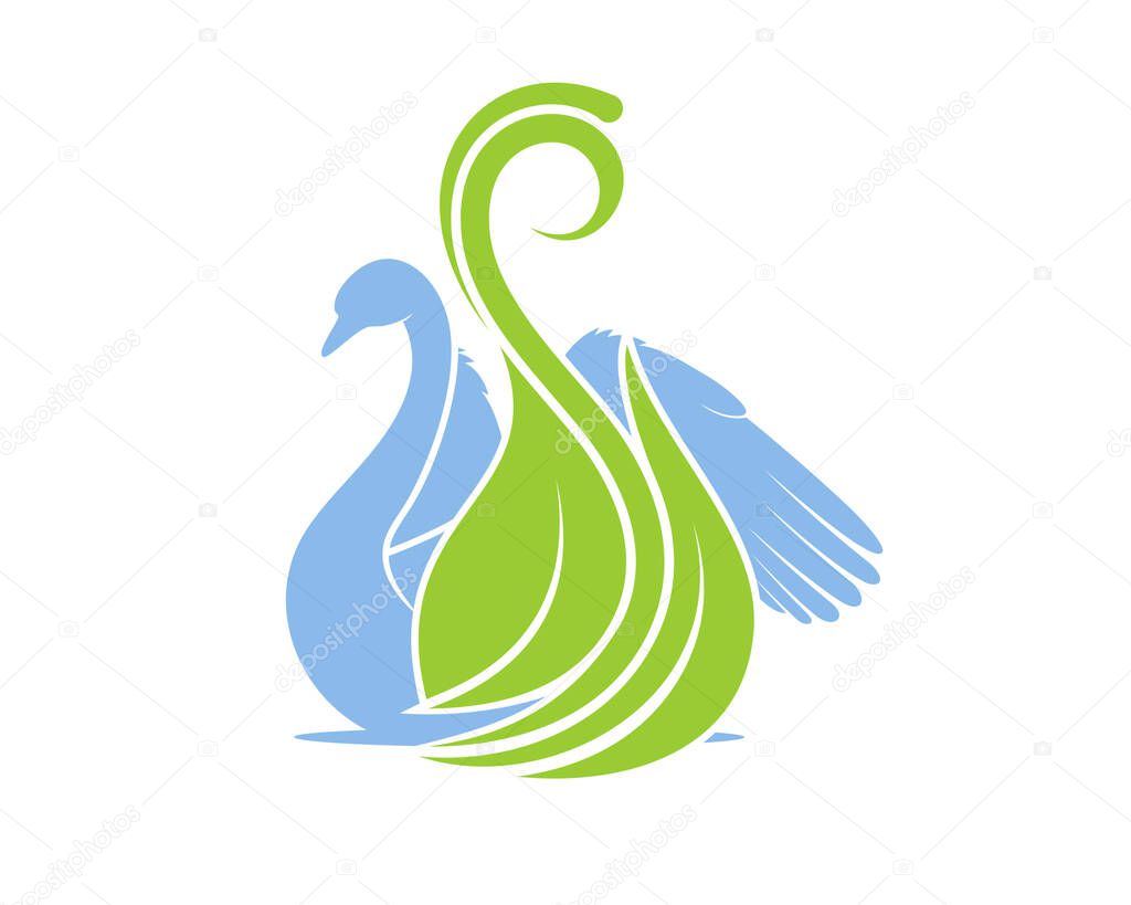 Swimming swan with green leaf