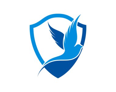 Mavi kalkan koruması altında uçan kuş.