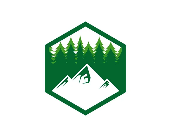 松の森と山の中の六角形 — ストックベクタ