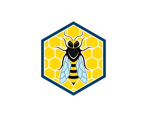 Εξαγωνική Κυψέλη Μέλισσα Βασίλισσα Μέλισσα Μέσα — Διανυσματικό Αρχείο