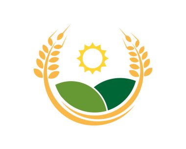 Çiftlik arazisi ve güneşi olan dairesel altın buğday.