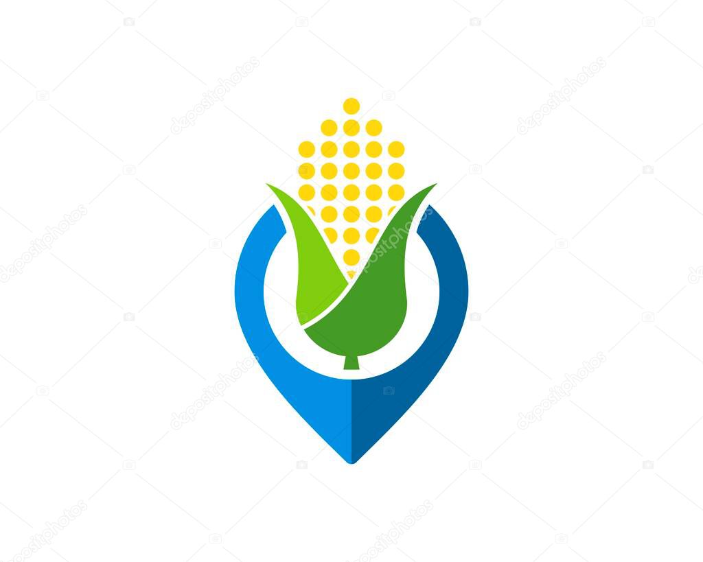 Pin location with abstract corn inside