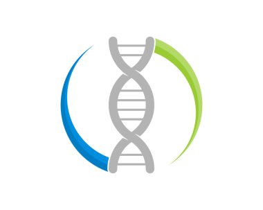 Çemberdeki DNA sarmalı