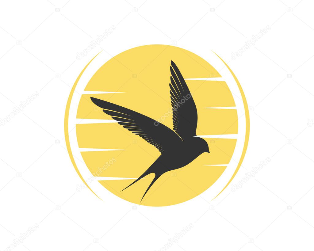 Flying swallow in the sunset vector illustration
