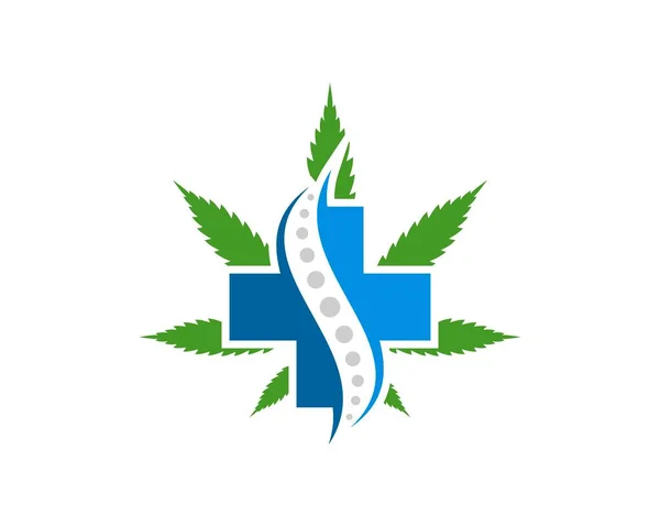 緑の大麻の葉の内側に医療カイロプラクティック — ストックベクタ