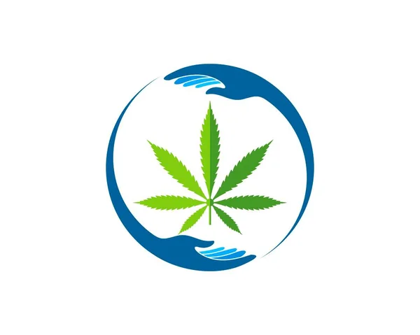 Cuidado Circular Las Manos Con Hoja Cannabis Interior — Vector de stock
