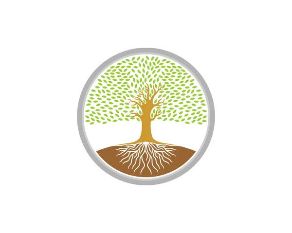 Arbre Dense Racine Dans Logo Cercle — Image vectorielle