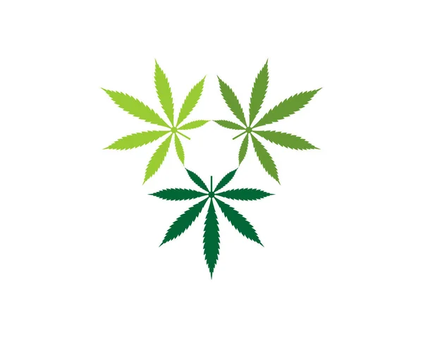 Trois Feuilles Cannabis Avec Logo Forme Triangle — Image vectorielle