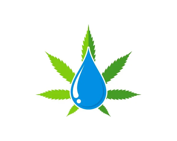 Hoja Cannabis Verde Con Gota Agua Azul Interior — Archivo Imágenes Vectoriales