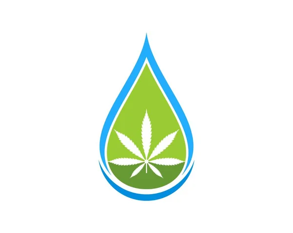 Gota Agua Abstracta Con Hoja Cannabis Dentro — Vector de stock