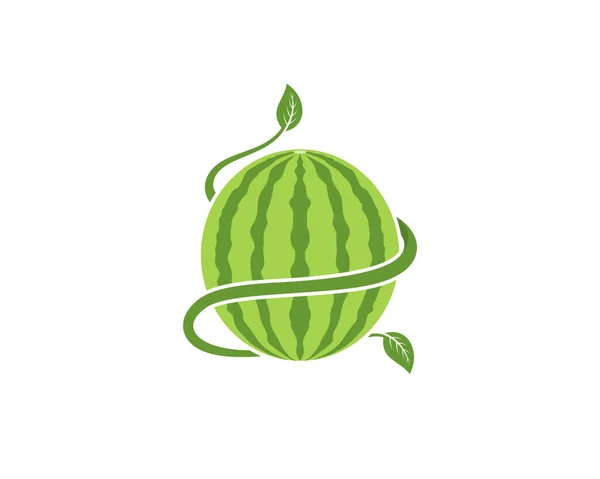 Melounové Plody Přírodním Zeleným Listem Větvičkami — Stockový vektor