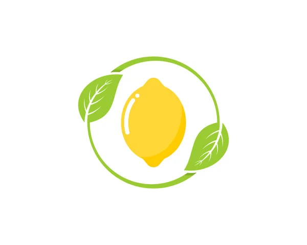 柠檬果实内的圆形自然叶子 — 图库矢量图片