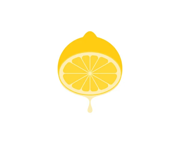 溶かしたスプラッシュ水とオレンジの果物 — ストックベクタ