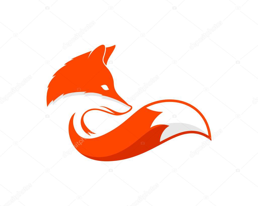 Luxury fox with orange and white colors