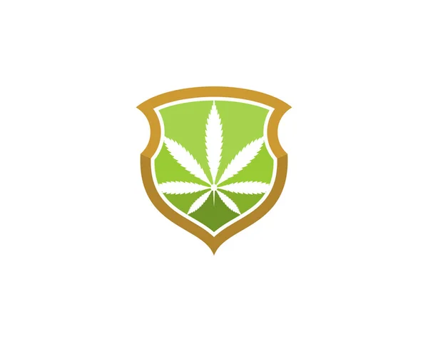 Feuille Cannabis Dans Logo Protection Bouclier — Image vectorielle
