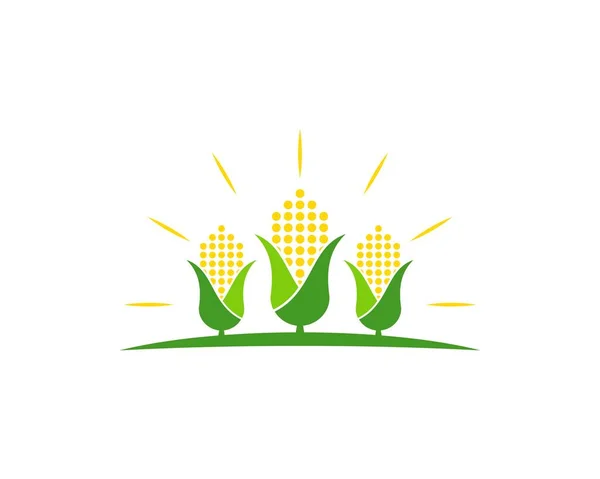 Три Кукурузы Ферме Сияющим Блеском Сверху — стоковый вектор
