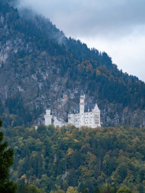 Almanya 'daki Neuschwanstein kalesi