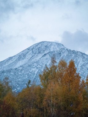 Güzel dağ manzarası. Doğa, seyahat